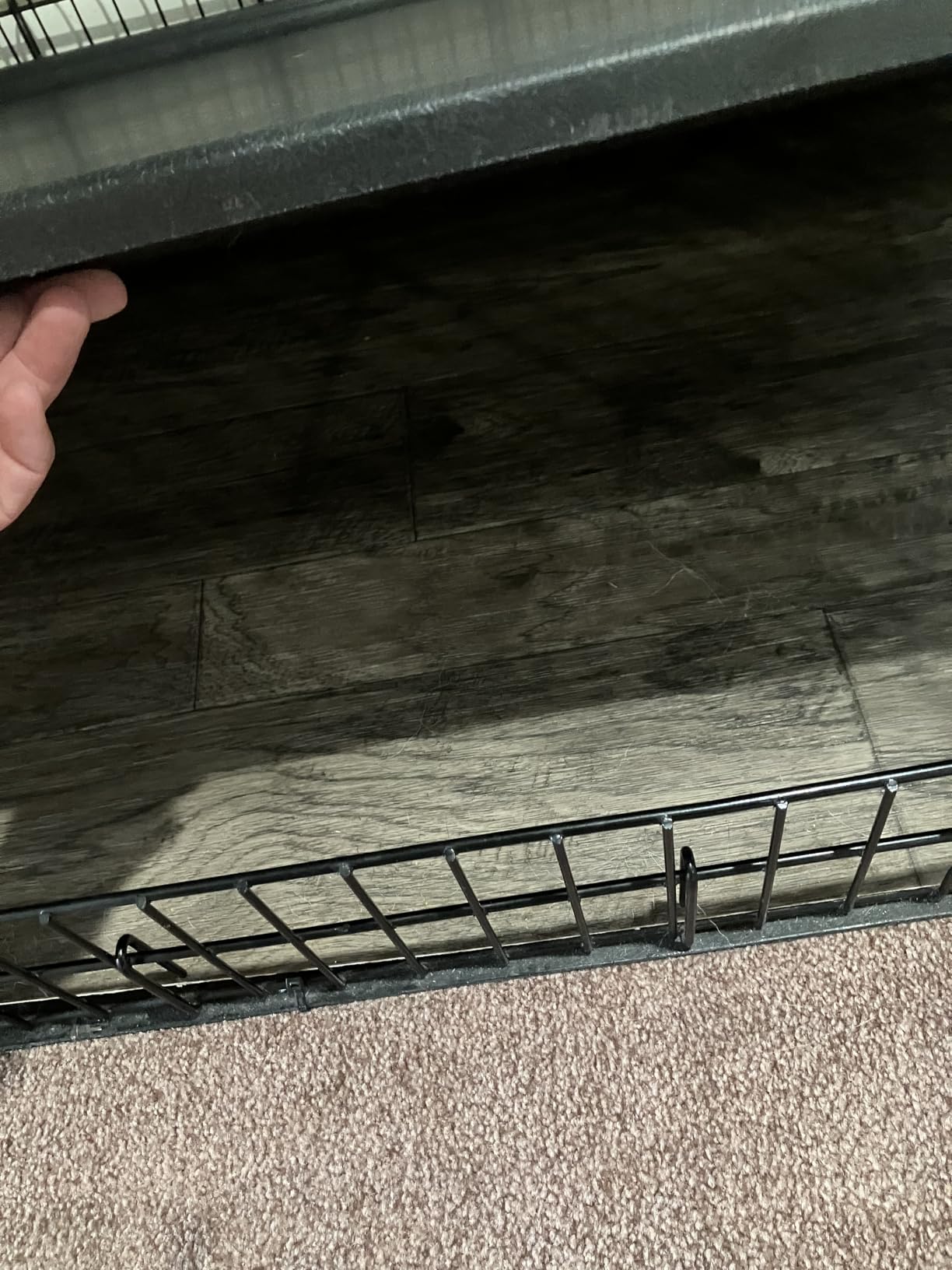 Solutions by MidWest Homes for Pets 54-Inch Drop Pin Crate for Giant Breeds Over 100 lbs, Double Door Dog Crate with Leak-Proof Tray & Secure Latches, Durable Drop Pin Construction customer photo 1