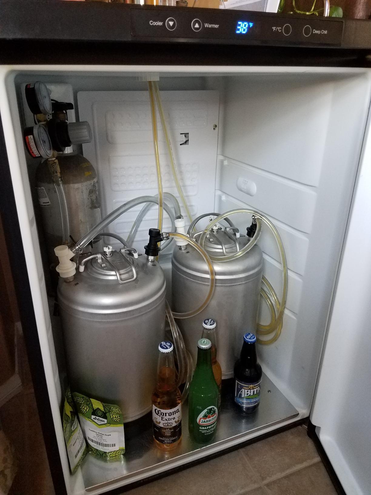 Kegco K309SS-2 24