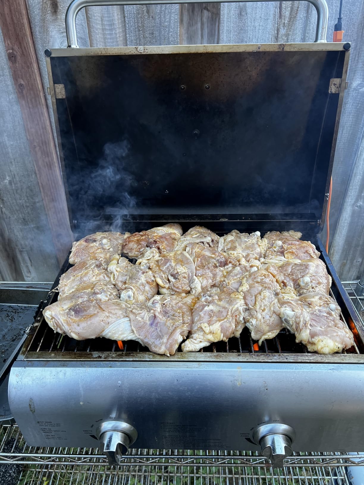 Cuisinart Chef's Style Tabletop Portable Propane Grill, 20,000 BTU Stainless Steel 2-Burner Outdoor Gas Grill for Camping, Tailgates, BBQ customer photo 1