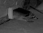 Cat Mate Microchip Activated Cat Flap (360) customer photo 2