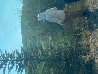 Bee Jacket with Veil - Natural Canvas Bee Suit Jacket with Elastic Waist & Cuffs, YKK Brass Zippers, 3 Utility Pockets. Removable Hood Interchangeable with Forest Beekeeping Suit. customer photo 1