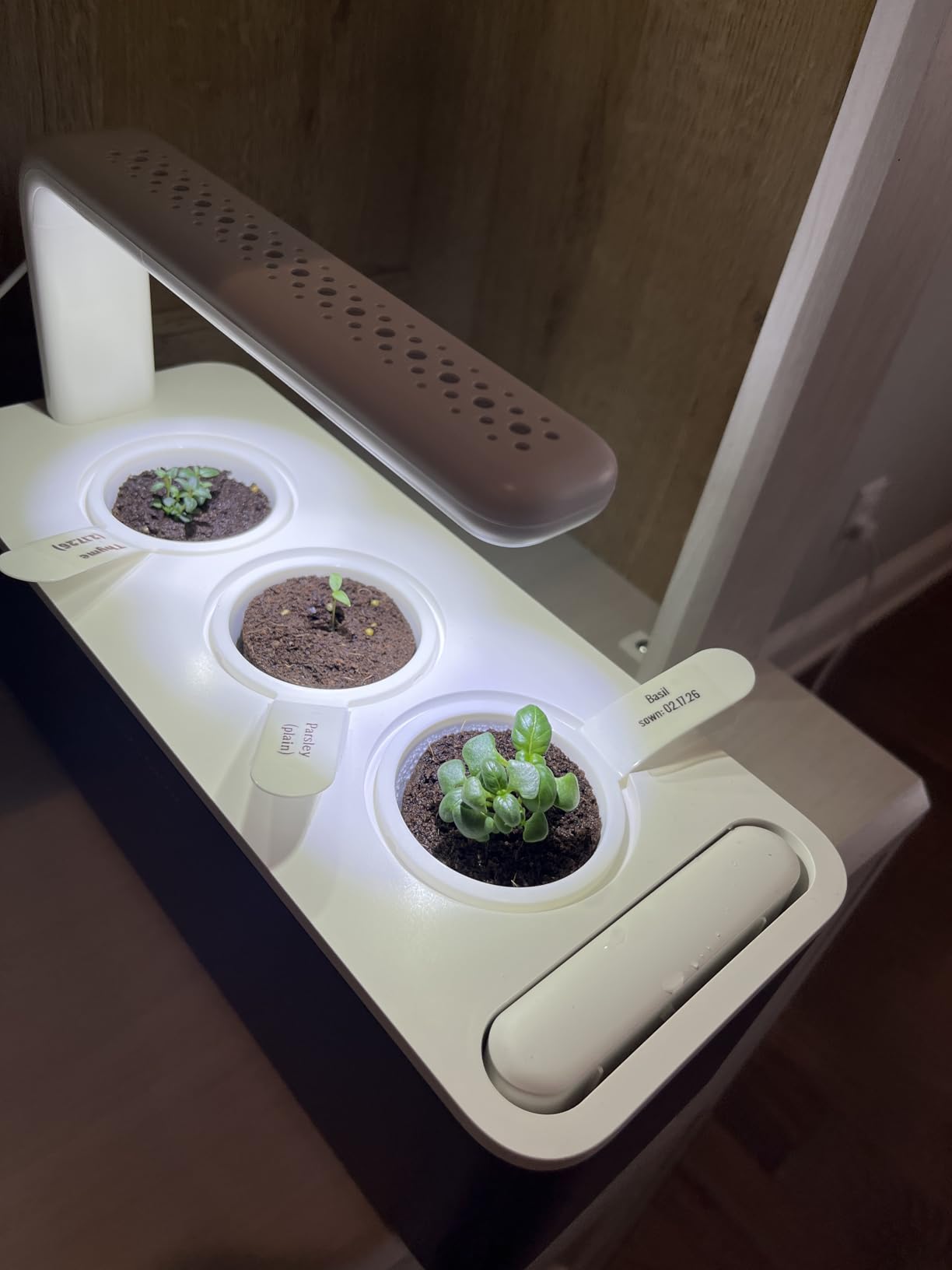 Click & Grow Indoor Herb Garden Kit with Grow Light | Smart Garden for Home Kitchen Windowsill | Easier Than Hydroponics Growing System | Vegetable Gardening Starter (3 Basil Pods Included) customer photo 1
