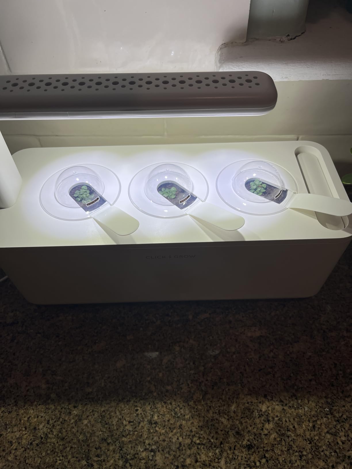 Click & Grow Indoor Herb Garden Kit with Grow Light | Smart Garden for Home Kitchen Windowsill | Easier Than Hydroponics Growing System | Vegetable Gardening Starter (3 Basil Pods Included) customer photo 2