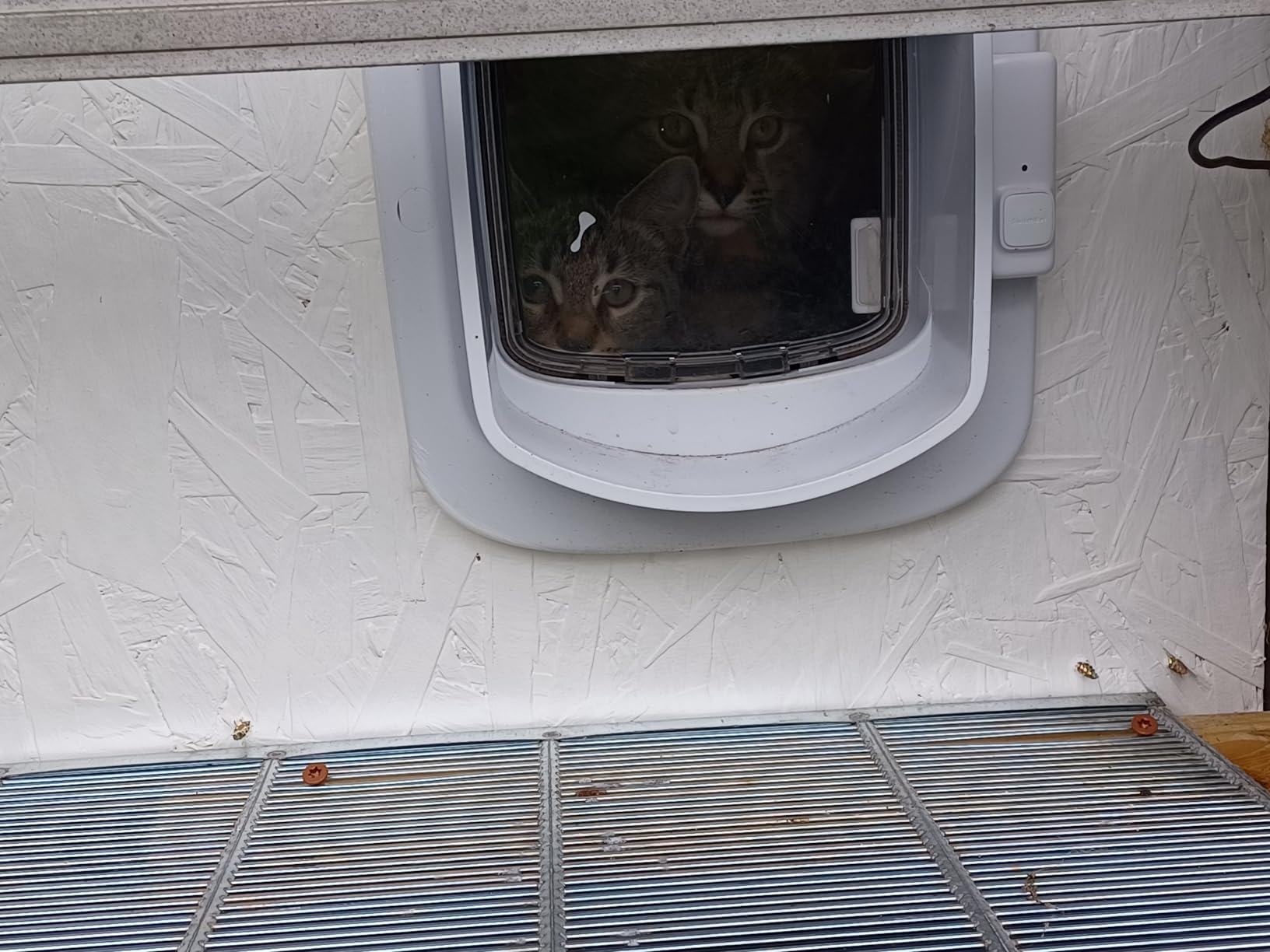 PetSafe Microchip Cat Door, Exterior or Interior Pet Door customer photo 1