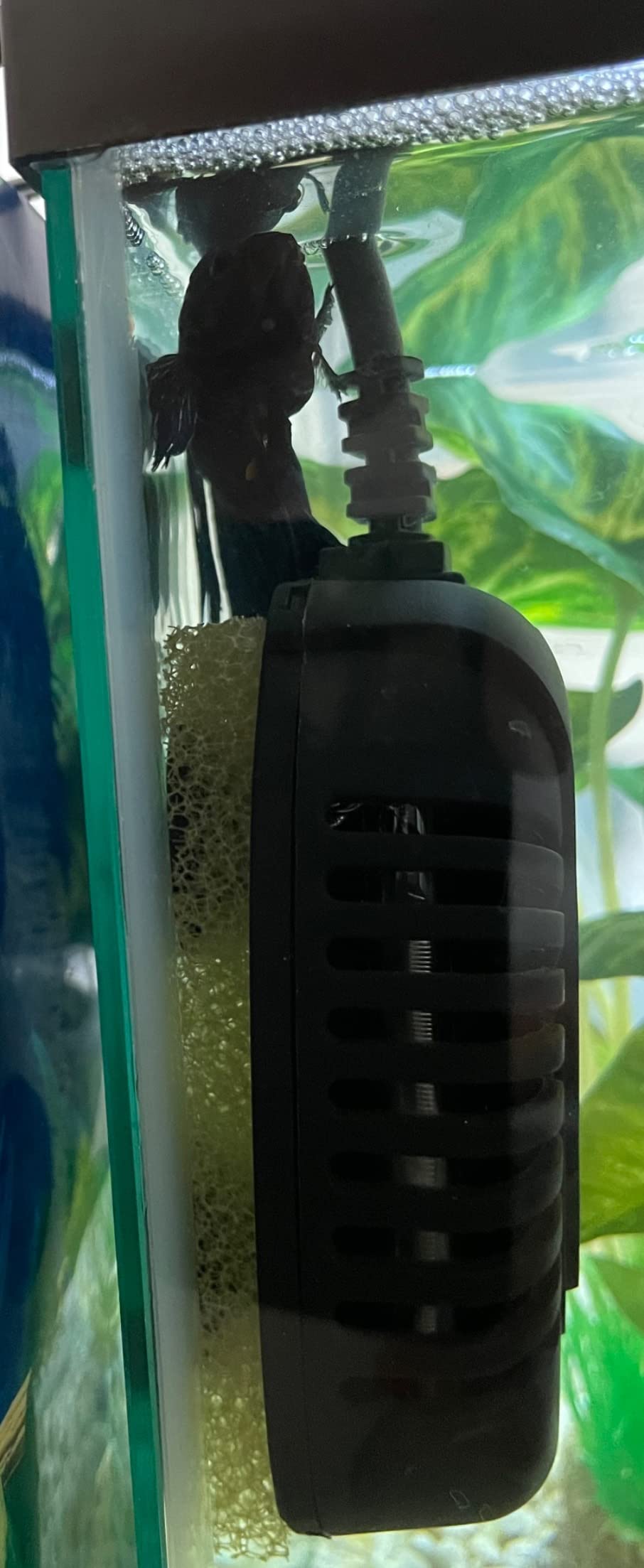 FREESEA Aquarium Fish Tank Heater: 50W Small Submersible Turtle Heater with Adjustable Temperature External Controller for 1-10 Gallon customer photo 2