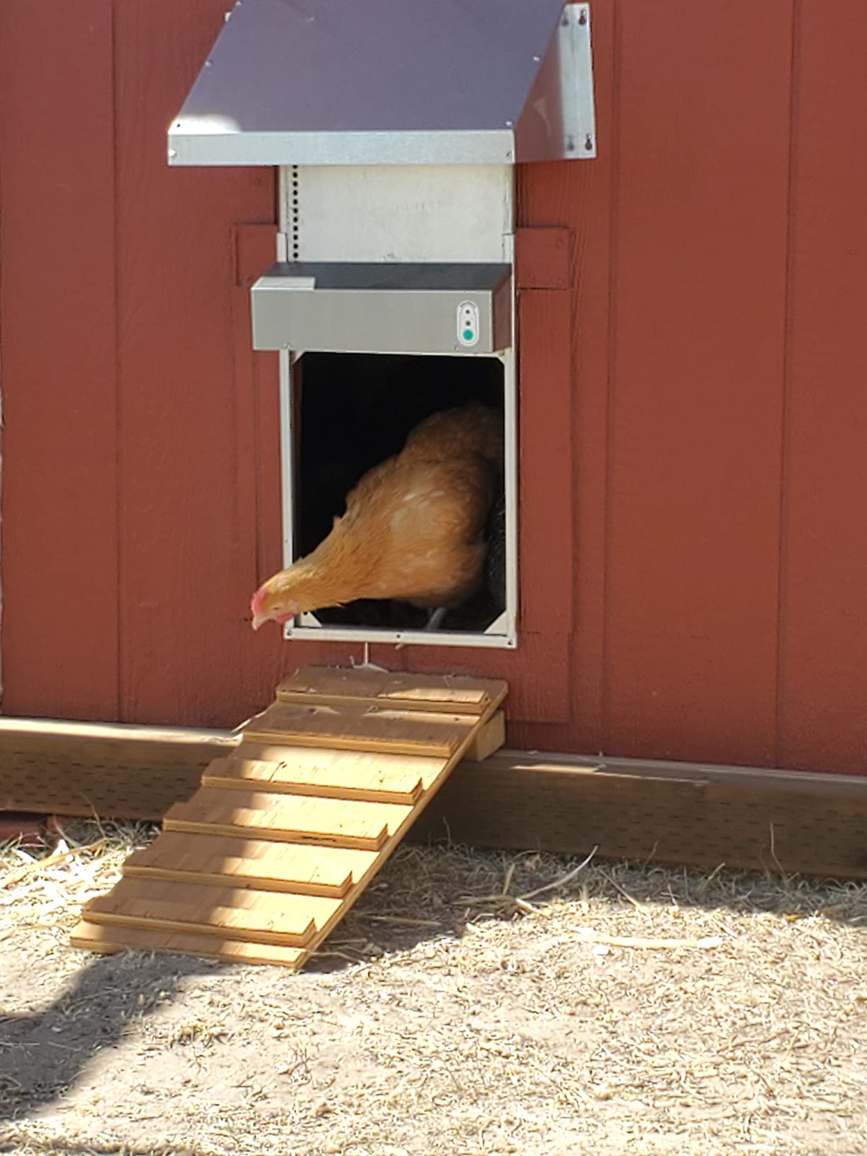 Automatic Chicken Coop Door Extra Large 13 x 10.5 Inch Opening, Heavy Duty Galvanized Steel, Predator Resistant, ADOR1 Made in USA customer photo 2