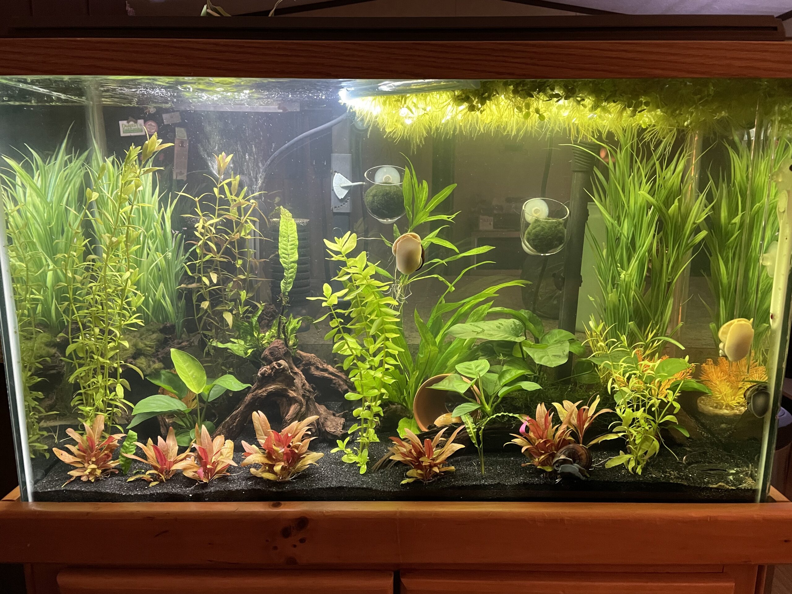 Fluval Aquasky 2.0 Bluetooth LED Aquarium Light - 18W, 24-36