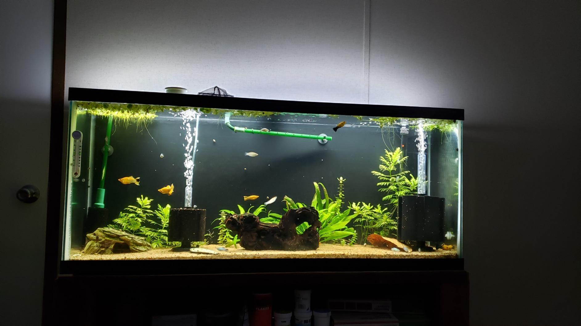 Fluval Aquasky 2.0 Bluetooth LED Aquarium Light - 18W, 24-36