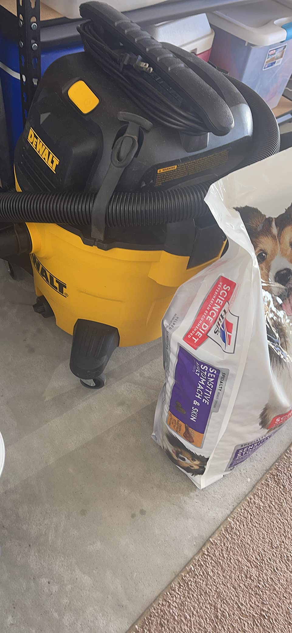 DEWALT 10 Gallon Poly Wet Dry Vacuum, 5.5 HP Shop Vacuum 120V 90 CFM for Jobsite, Workshop, Garage, 10 Ft Cord customer photo 2