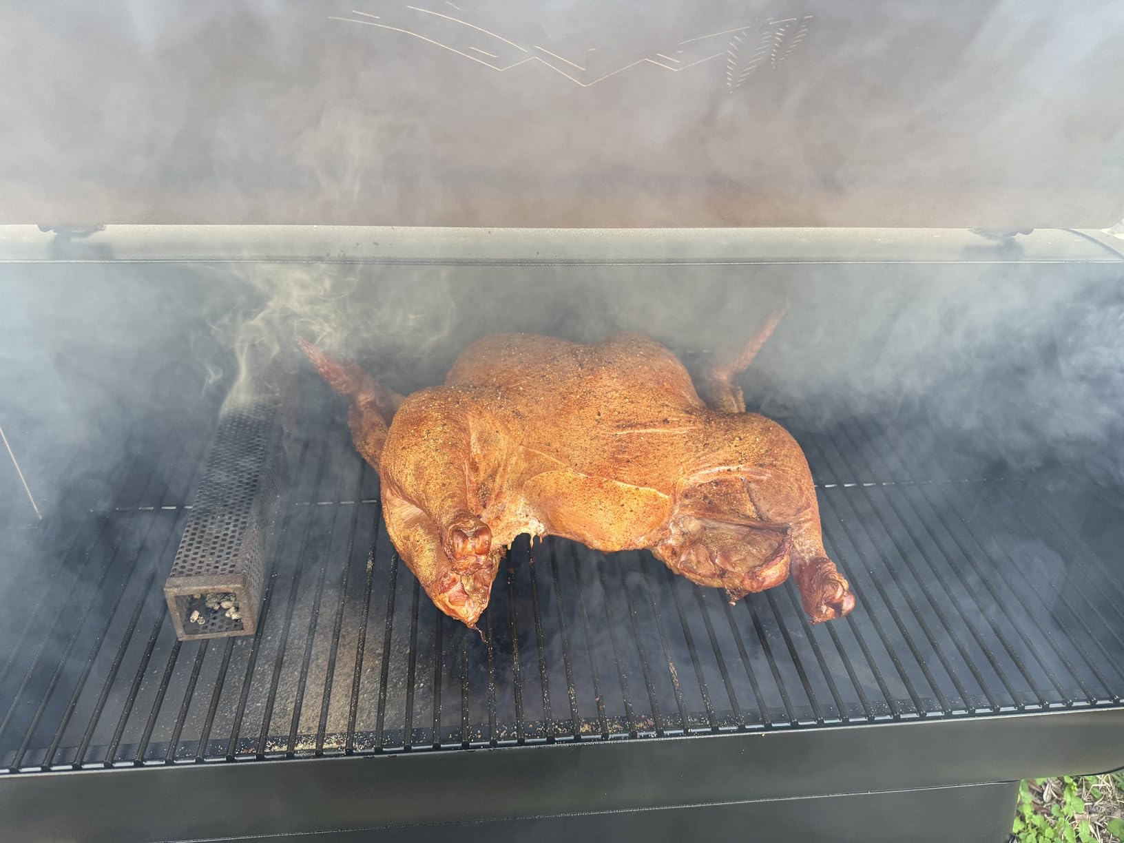 Traeger Grills Pro 34 Electric Wood Pellet Grill and Smoker, Bronze, 884 Square Inches Cook Area, 450 Degree Max Temperature customer photo 2