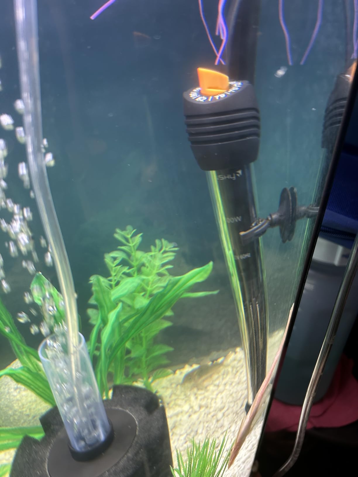Orlushy Submersible Aquarium Heater, Adjustable Fish Tank Heater with Free Thermometer for Marine Saltwater and Freshwater customer photo 1
