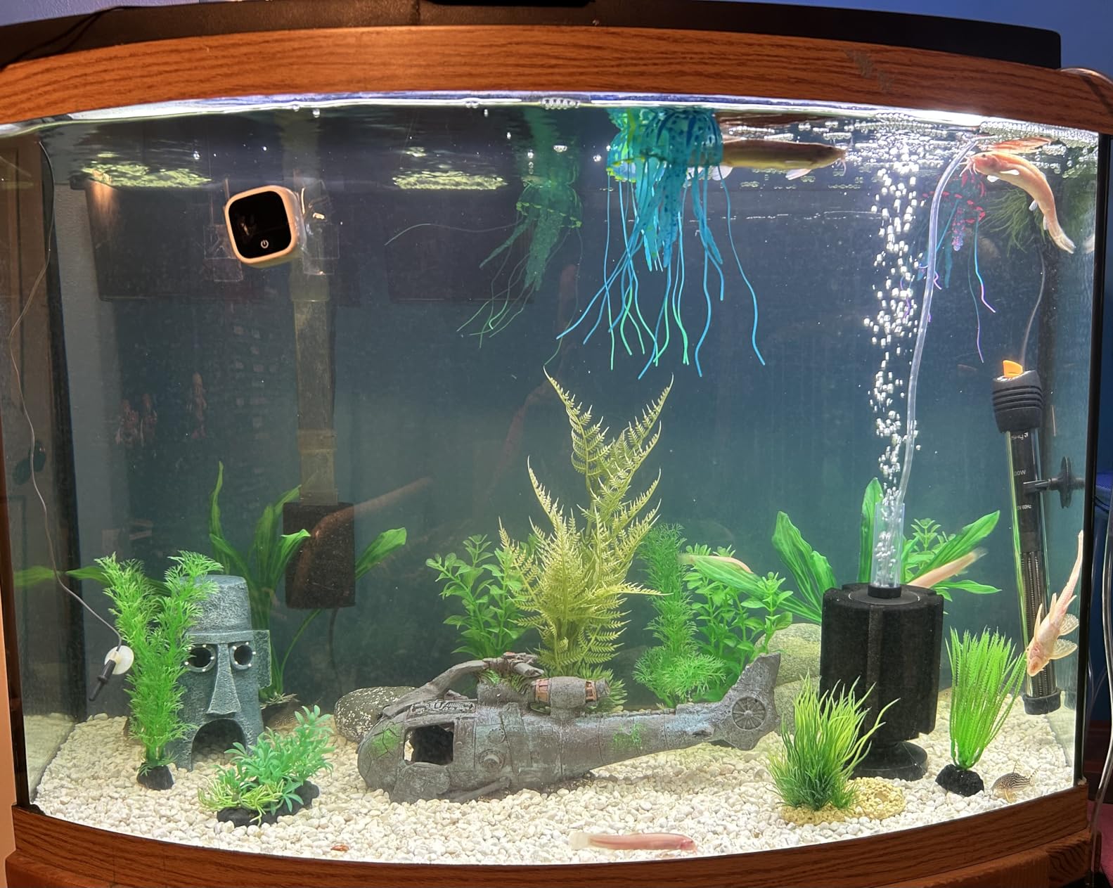 Orlushy Submersible Aquarium Heater, Adjustable Fish Tank Heater with Free Thermometer for Marine Saltwater and Freshwater customer photo 2