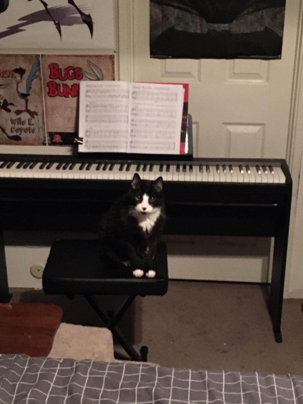 Roland FP-10 Compact 88-Note Digital Piano with SuperNATURAL Piano Tones, Authentic Acoustic Feel Keyboard, Bluetooth and MIDI Connectivity customer photo 1