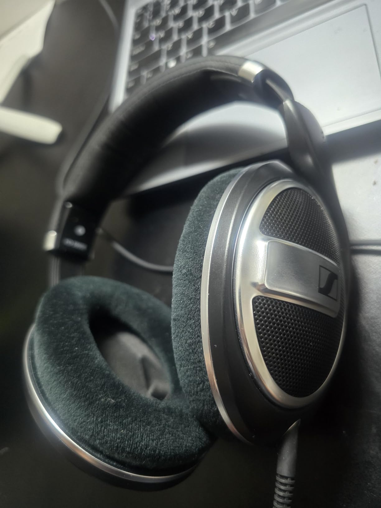 Sennheiser HD 599 - Open Headphones, Special Edition, Black, Wired customer photo 2