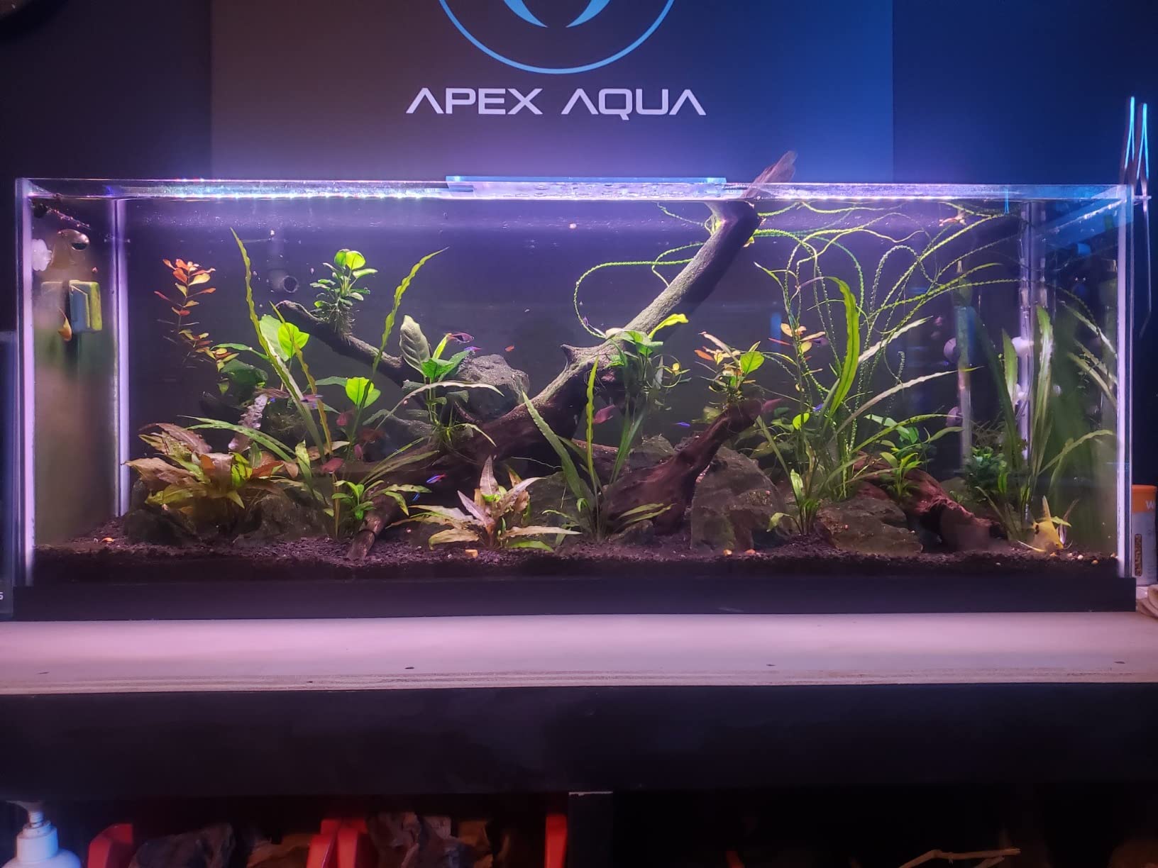 Finnex Planted Plus True 24/7 + HLC Aquarium LED Light, Automated Full Spectrum Fish Tank Light, True 660nm Deep Red Plant LEDs, 20 Inch, (HLC-20) customer photo 1