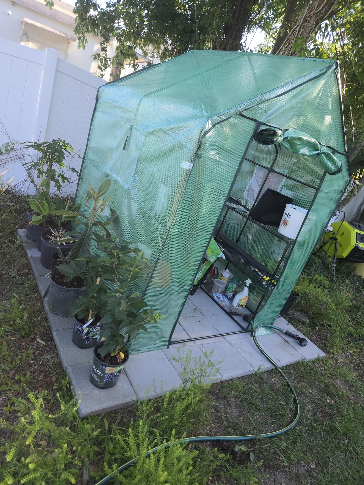 Ohuhu Greenhouse for Outdoors with Screen Windows, 57 x 57 x 76'' Walk in Plant Greenhouses Heavy Duty with Durable PE Cover, 3 Tiers 12 Shelves Stands Plastic Portable Green House with Shelf Clips customer photo 1