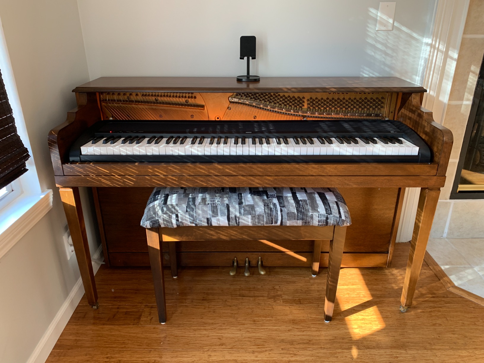 Korg B2 88-Key Digital Piano with Audio and MIDI USB, Software Included customer photo 1