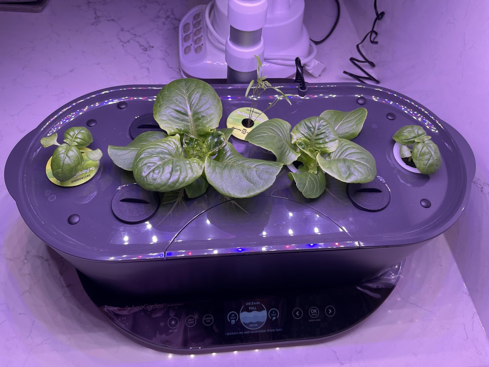 AeroGarden Bounty Basic - Indoor Garden with LED Grow Light, Black customer photo 1