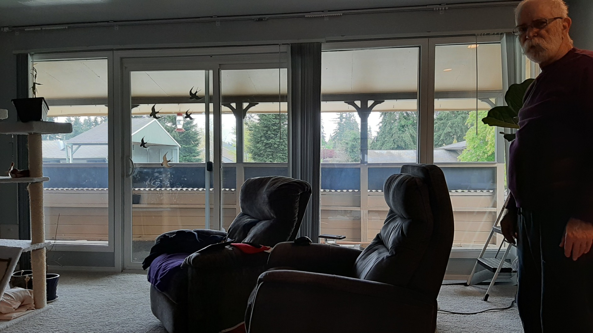 Quoya QL500 Smart Curtains System, Electric Curtain Track with Automated Rail - Motor compatible with Alexa customer photo 2