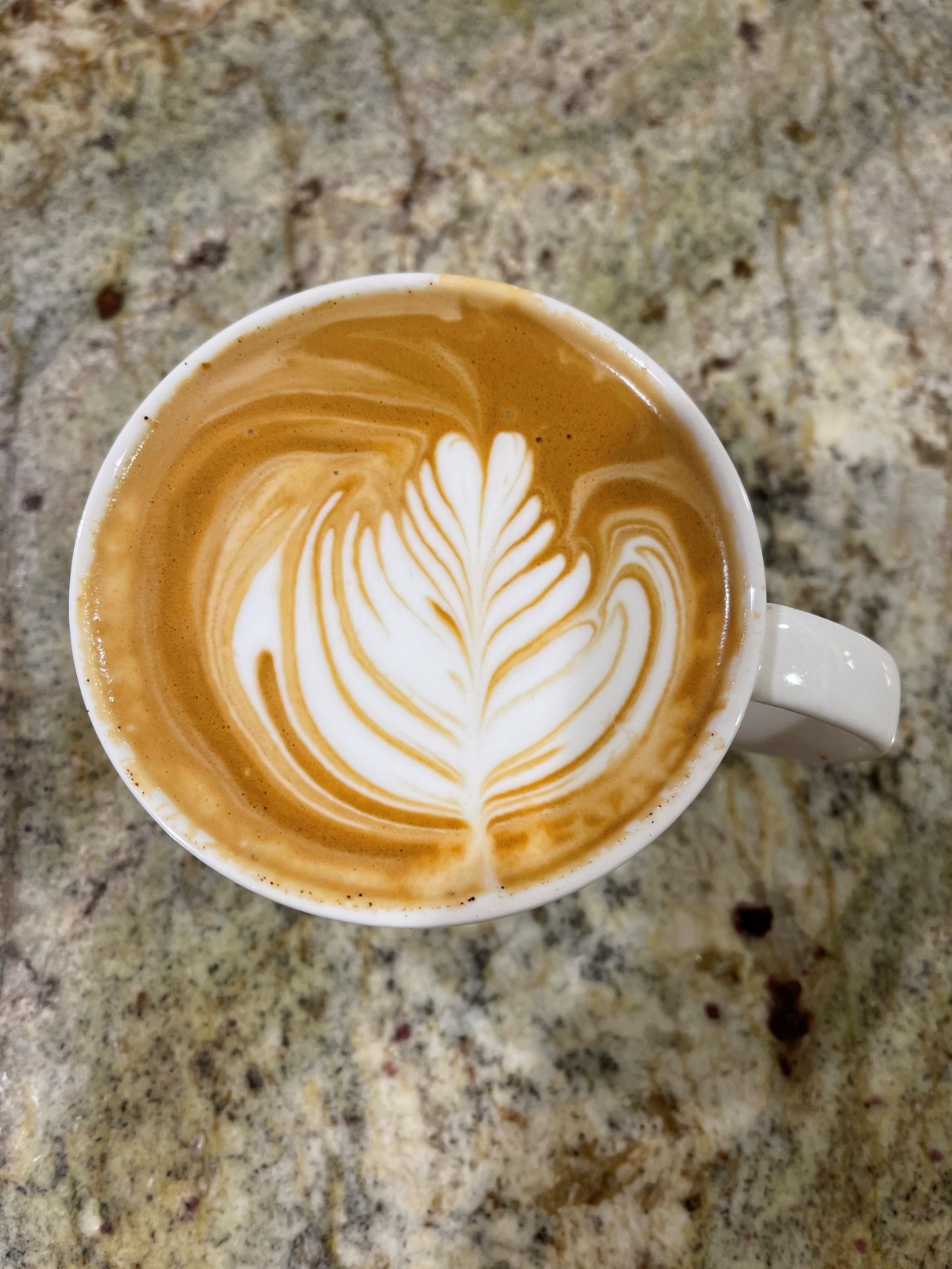 Breville Barista Pro Espresso Machine BES878BSS, Brushed Stainless Steel customer photo 2