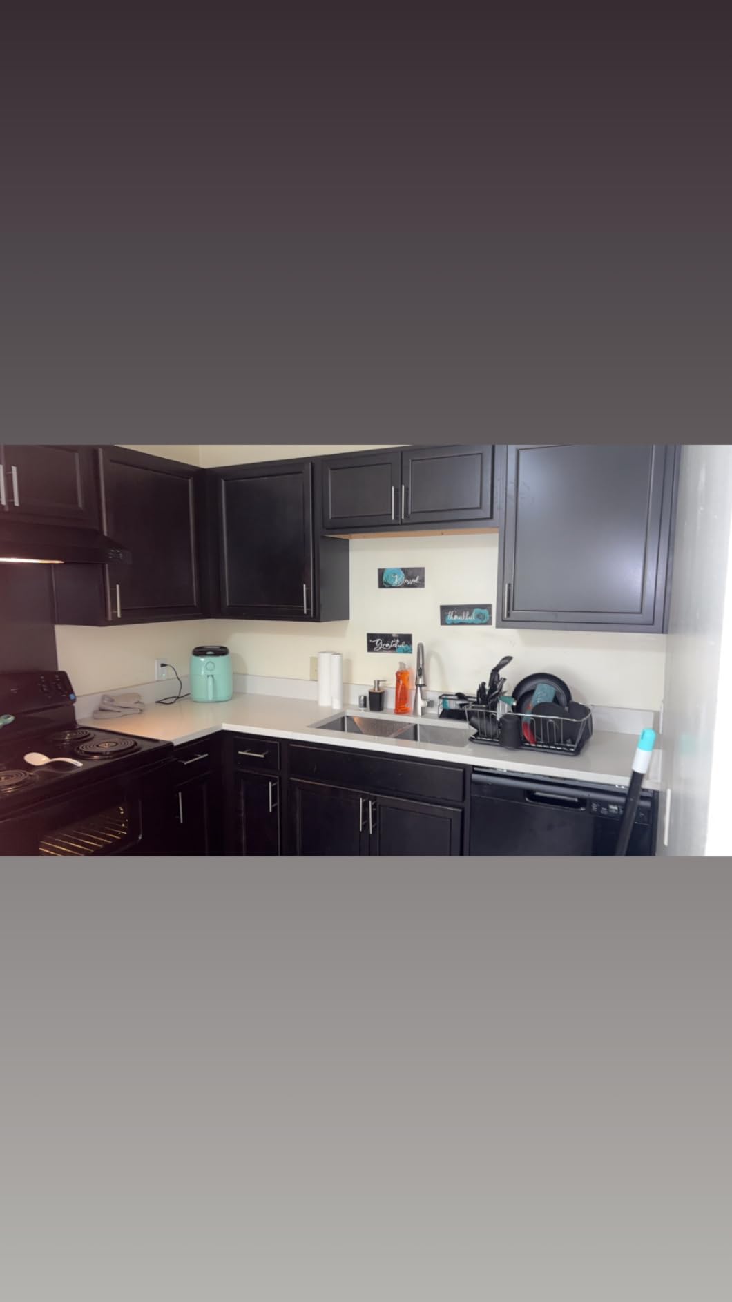 Dash Tasti-Crisp Air Fryer - AirCrisp Technology - Compact Design - 2.6 Quarts - Aqua customer photo 2