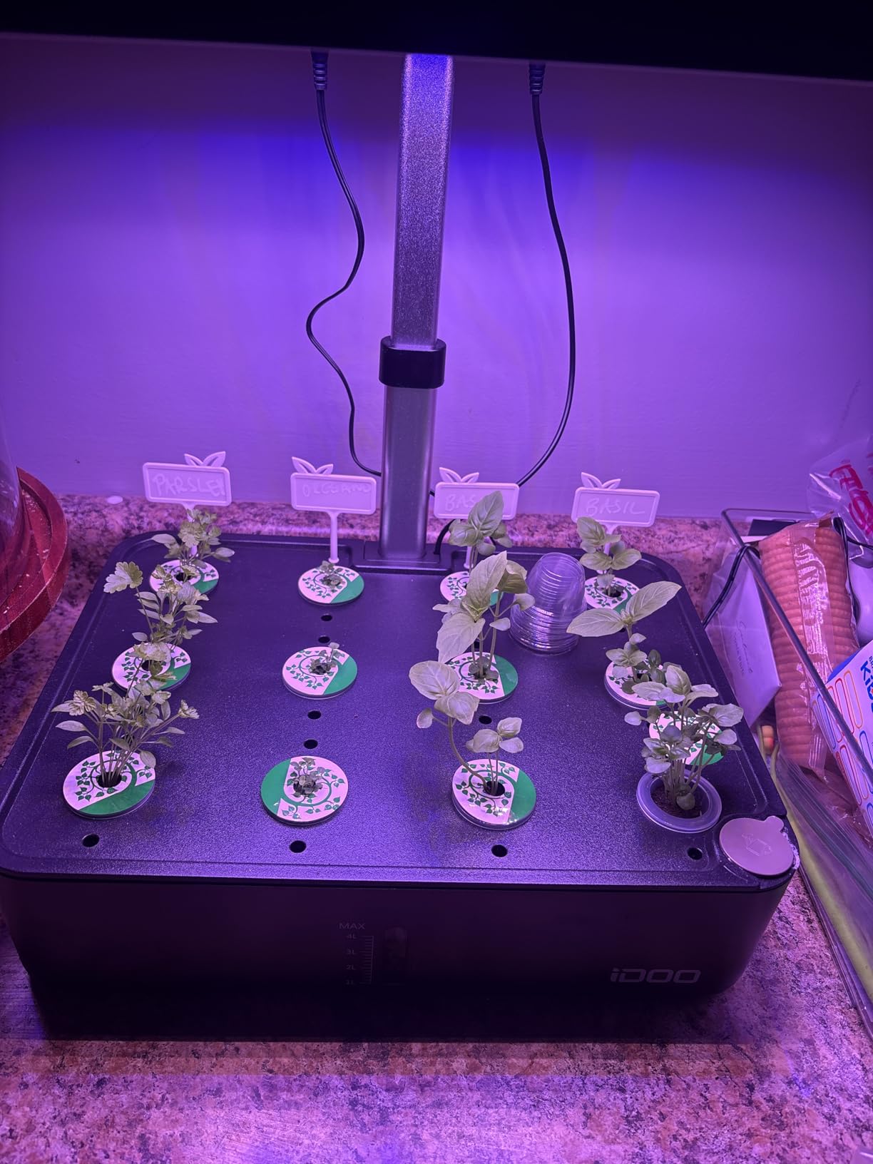 iDOO Hydroponics Growing System Kit 12Pods, Indoor Herb Garden with LED Grow Light, Built-in Fan, Auto-Timer, Adjustable Height Up to 11.3