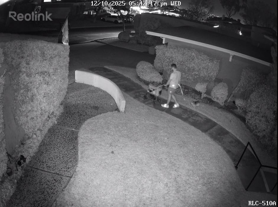 REOLINK 5MP Security PoE IP Camera, Person/Vehicle/Pet Detection, Time-Lapse, 100ft IR Night Vision, Work with Smart Home, Support 512GB SD Card, Surveillance Outdoor Indoor, RLC-510A customer photo 1