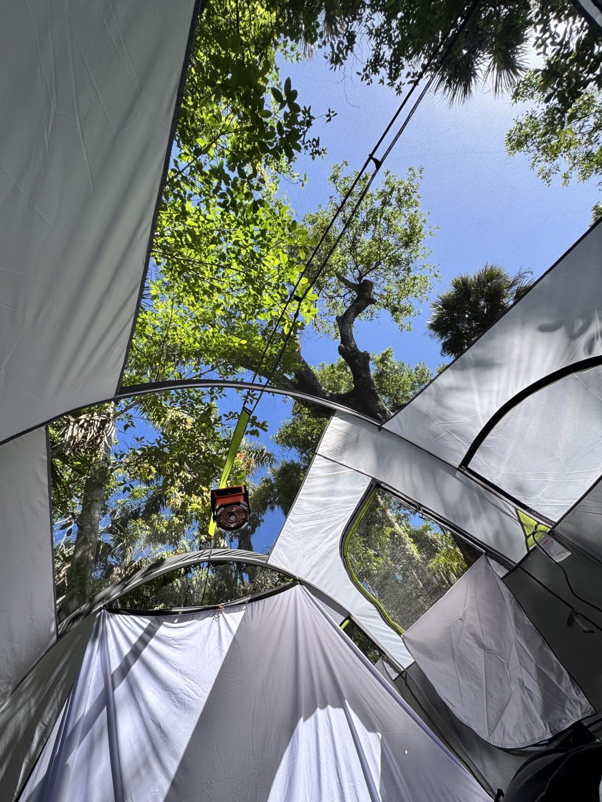 CAMPROS CP Tent 8 Person Camping Tents, Weather Resistant Family Tent, 5 Large Mesh Windows, Double Layer, Divided Curtain for Separated Room, Portable with Carry Bag customer photo 2