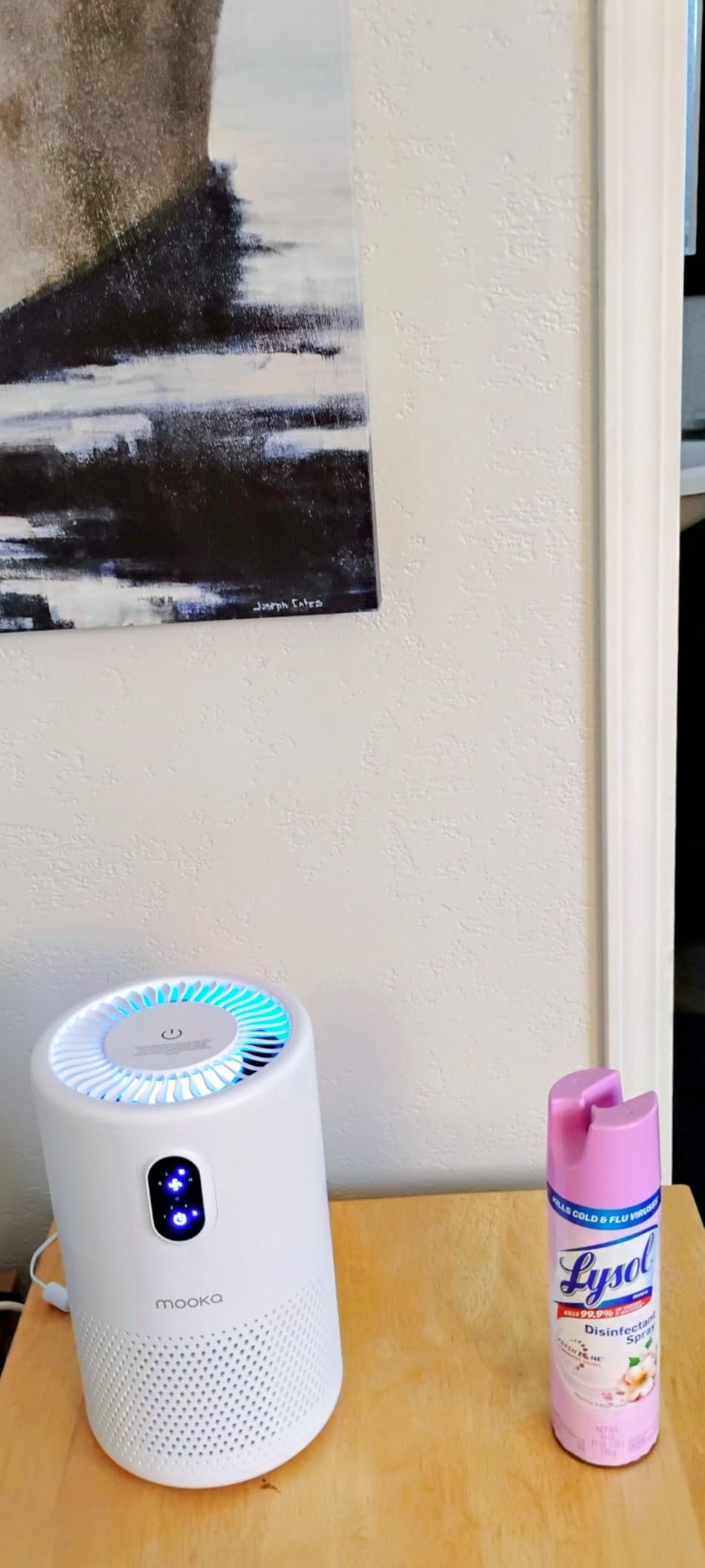 MOOKA Air Purifiers for Home Large Room up to 1076ft², H13 True HEPA Air Filter Cleaner, B-D02L White customer photo 2
