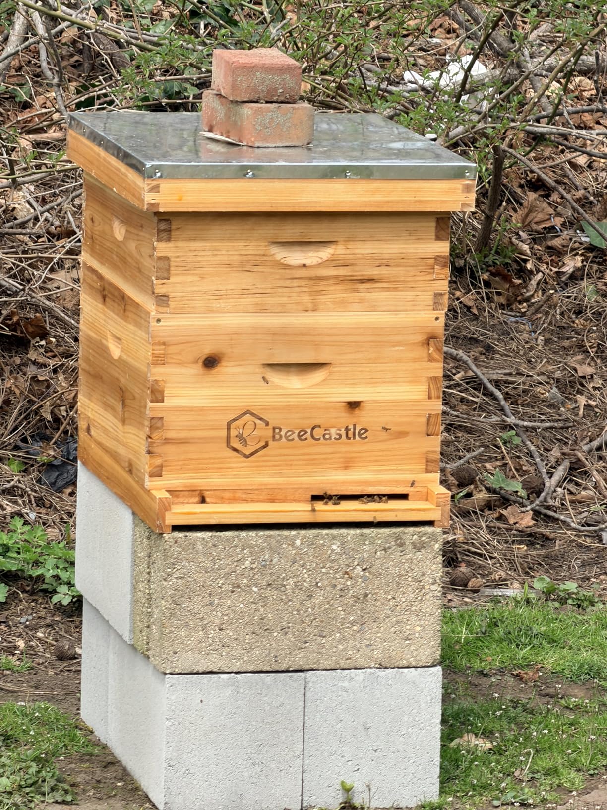 BeeCastle 10 Frame Langstroth Bee Hive Coated with Beeswax Includes Beehive Frames and Waxed Foundations (2 Deep Boxes & 1 Medium Box) customer photo 1