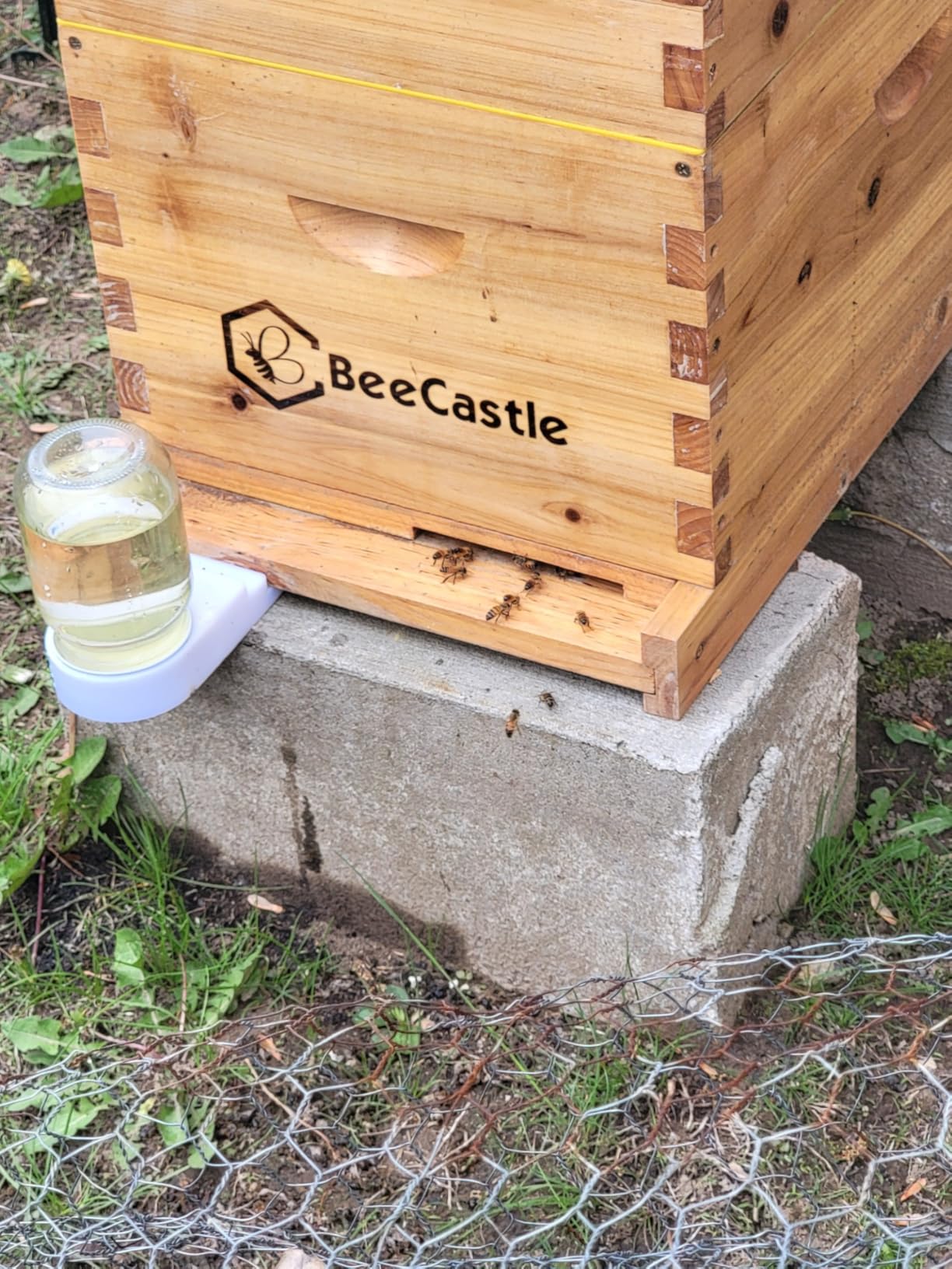 BeeCastle 8 Frame Langstroth Bee Hive Coated with Beeswax Includes Beehive Frames and Waxed Foundations (2 Deep Boxes & 1 Medium Box) customer photo 1