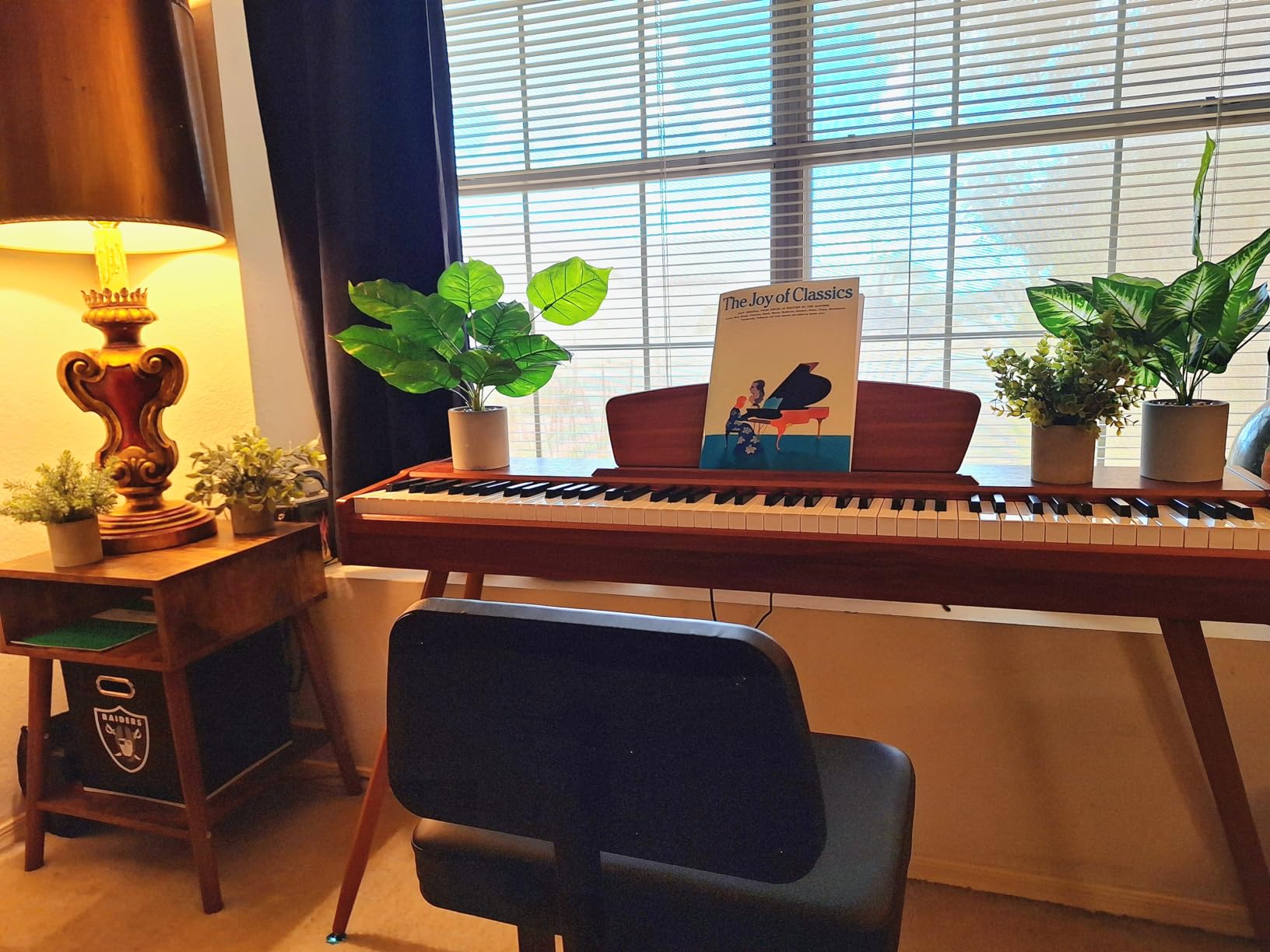 Donner DDP-80 Digital Piano 88 Key Weighted Keyboard, Full-size Electric Piano for Beginners, with Sheet Music Stand, Triple Pedal, USB-MIDI, Retro Wood Color customer photo 2