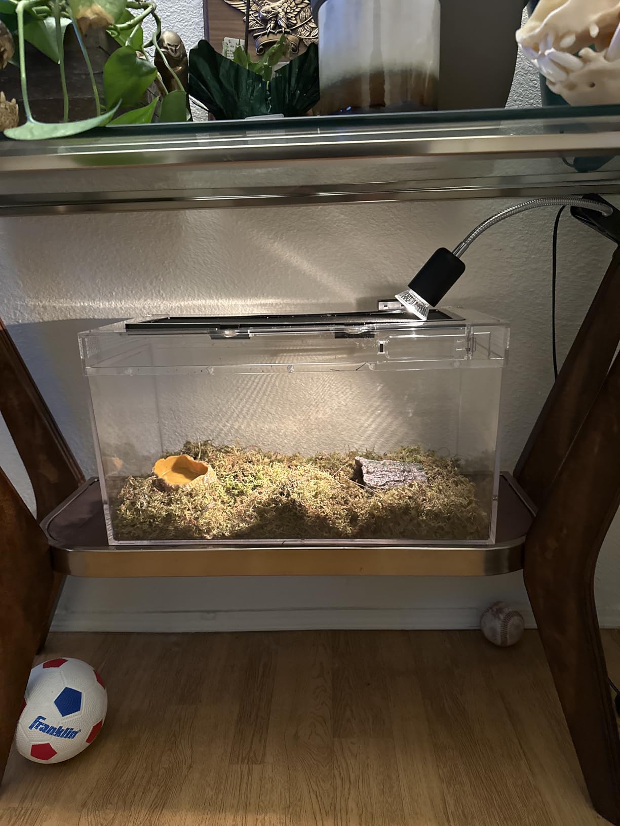 HELIME Reptile Polycarbonate Terrarium Kit 7 Piece Starter Habitat for Tarantula, Lizards, Frogs, Geckos, or Hermit Crabs, Tank with Escape-Proof Locking Lid, Light, Hygrometer, Hide, Tweezer, Bowl, Sprayer customer photo 1