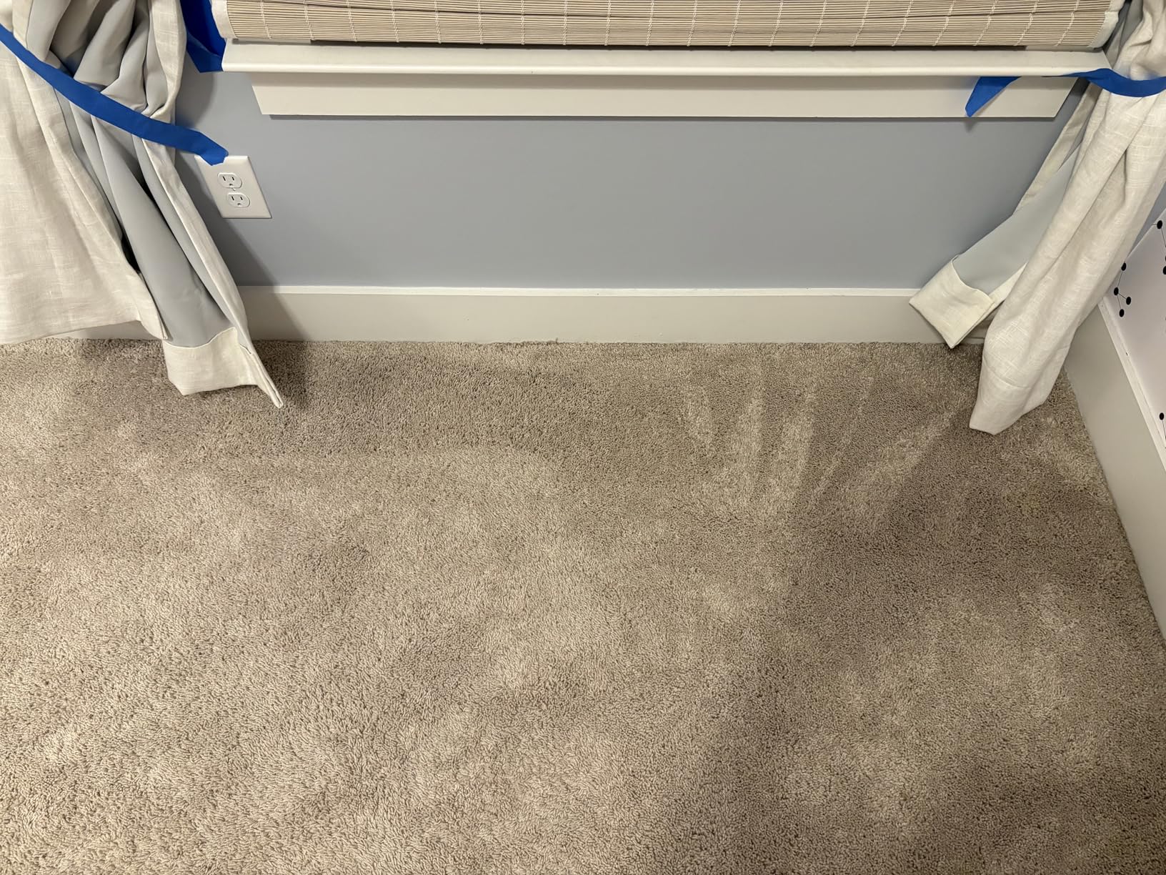 Bissell Little Green Pet Deluxe Portable Carpet Cleaner and Car/Auto Detailer, 3353, Gray/Blue customer photo 1