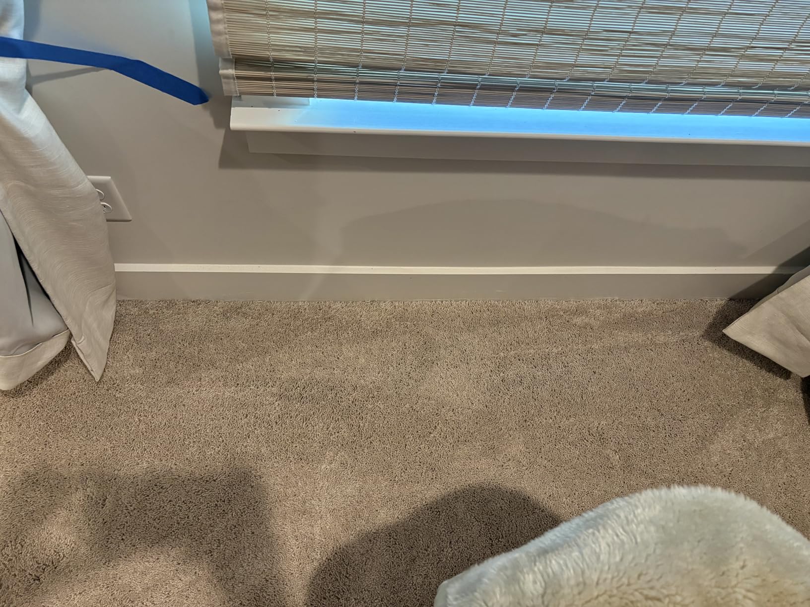 Bissell Little Green Pet Deluxe Portable Carpet Cleaner and Car/Auto Detailer, 3353, Gray/Blue customer photo 2