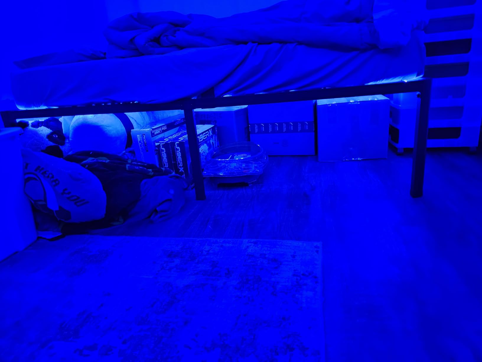 Govee RGBIC LED Strip Lights, Smart LED Lights for Bedroom, Bluetooth LED Lights APP Control, DIY Multiple Colors on One Line, Color Changing LED Strip Lighting Music Sync, Home Decor, 16.4ft customer photo 2