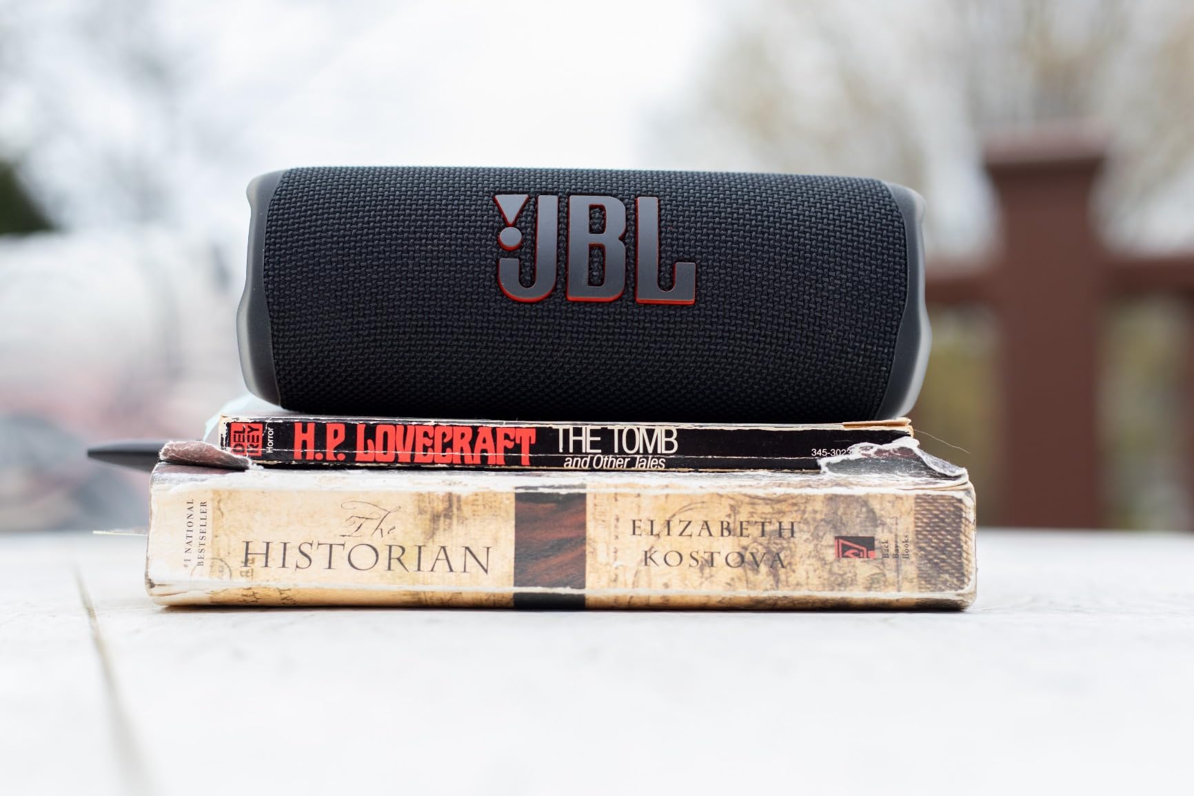 JBL Flip 6 Portable Bluetooth Speaker with Deep Bass customer photo 2