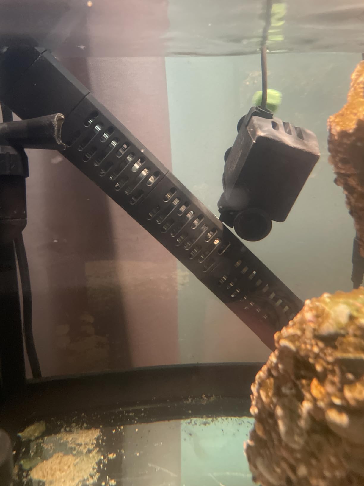 HiTauing Aquarium Heater, 50W/100W/200W/300W/500W Submersible Fish Tank Heater with Over-Temperature Protection and Automatic Power-Off When Leaving Water customer photo 1