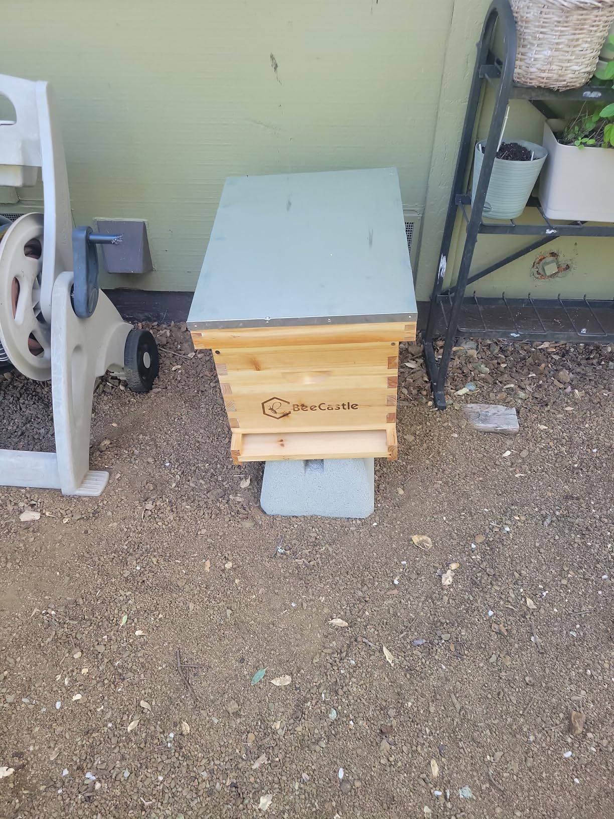 BeeCastle 8-Frame Bee Hives and Supplies Starter Kit, Beehive Kit Dipped in 100% Beeswax, Bee Keeping Supplies-All Beginners Kit Includes Beekeeping Supplies Tool Set and Bee Suit customer photo 1