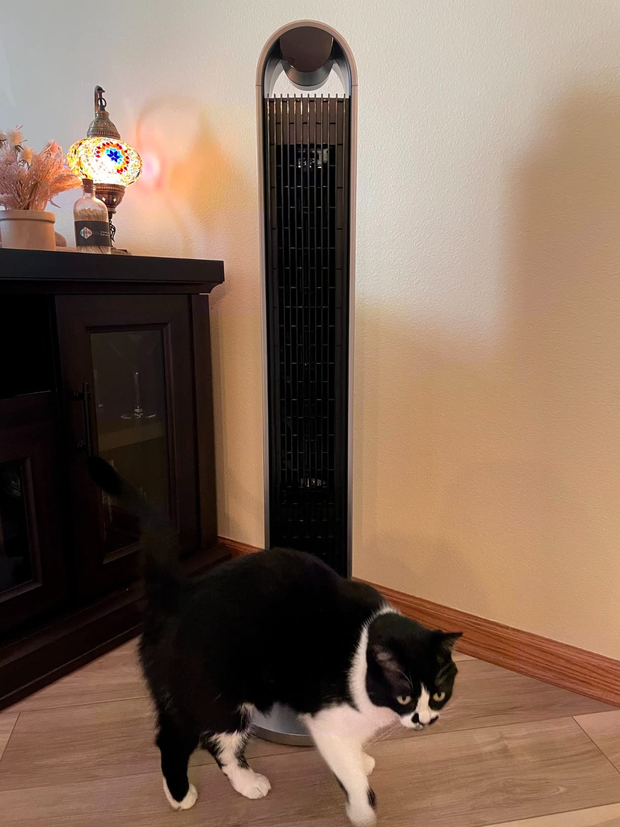 DREO Tower Fan for Bedroom, 42 Inch 120° Oscillating Fan, 20dB Quiet DC Motor, 28ft/s Velocity Bladeless Standing Fan with 12 Speeds, 4 Modes, 12H Timer Cooling Fans for Home, Living Room customer photo 1