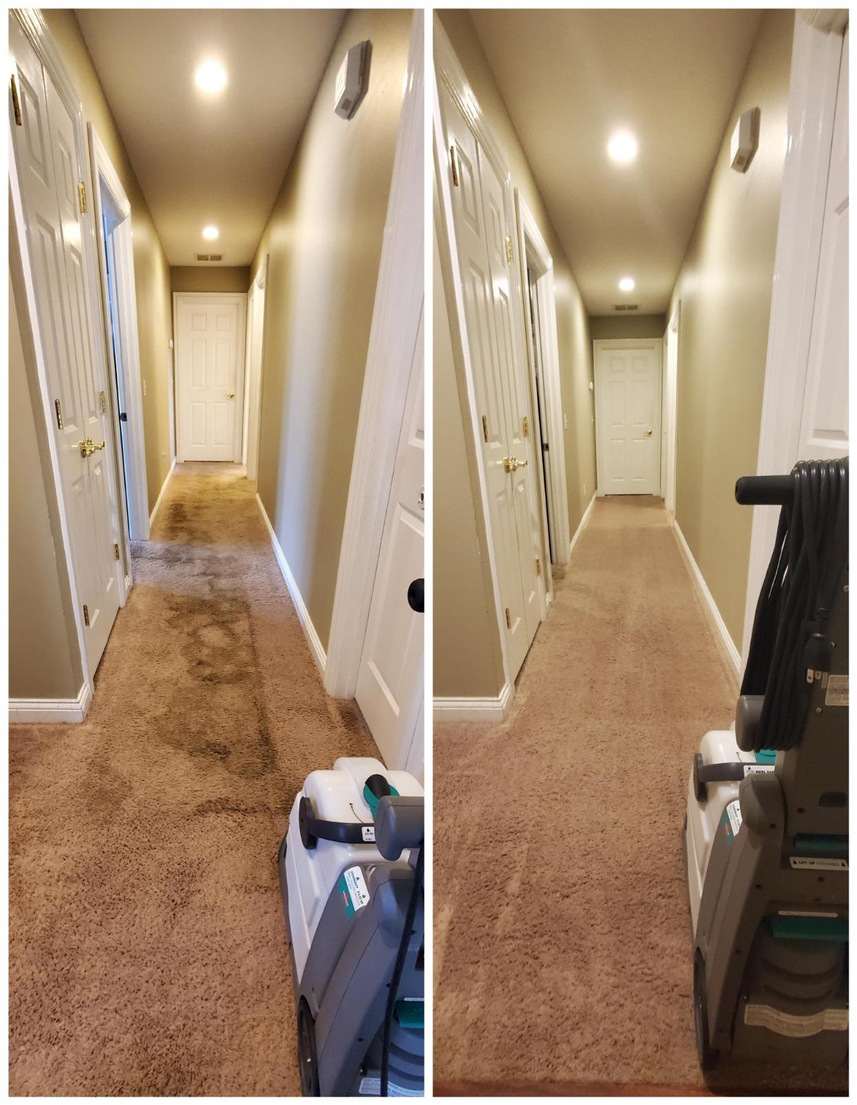 BISSELL Big Green PET PRO Carpet Cleaner with 8 Row XL DirtLifter PowerBrush, 9-inch Long Reach Hose, 2 Upholstery Tools, Includes Pet Pro Oxy Urine Eliminator Formula customer photo 2