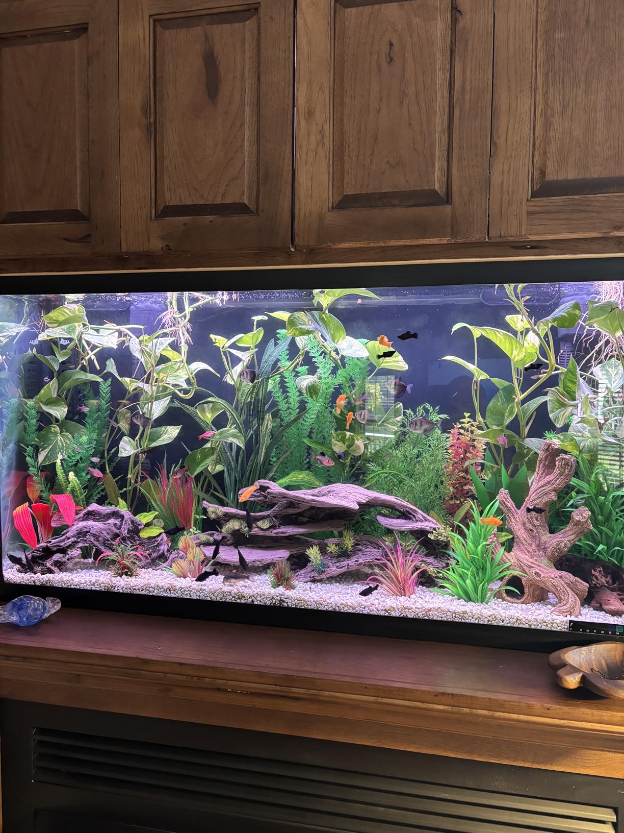 hygger 60W Smart Aquarium Light, Bluetooth LED Light with App Control, Full Spectrum Fish Tank Light with 24/7 Lighting Cycle, 5 Modes, Adjustable Timer, for 48