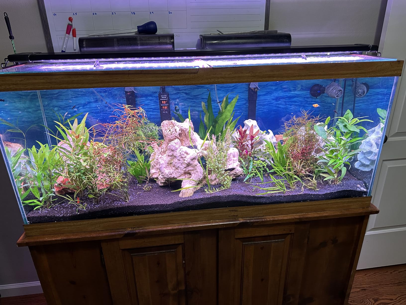 hygger 60W Smart Aquarium Light, Bluetooth LED Light with App Control, Full Spectrum Fish Tank Light with 24/7 Lighting Cycle, 5 Modes, Adjustable Timer, for 48