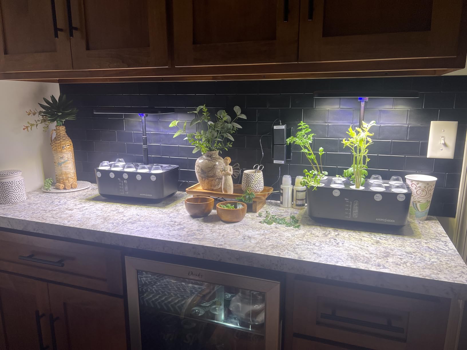 Ahopegarden Indoor Garden Hydroponics Growing System: 10 Pods Plant Germination Kit Herb Vegetable Growth Lamp Countertop with LED Grow Light customer photo 1