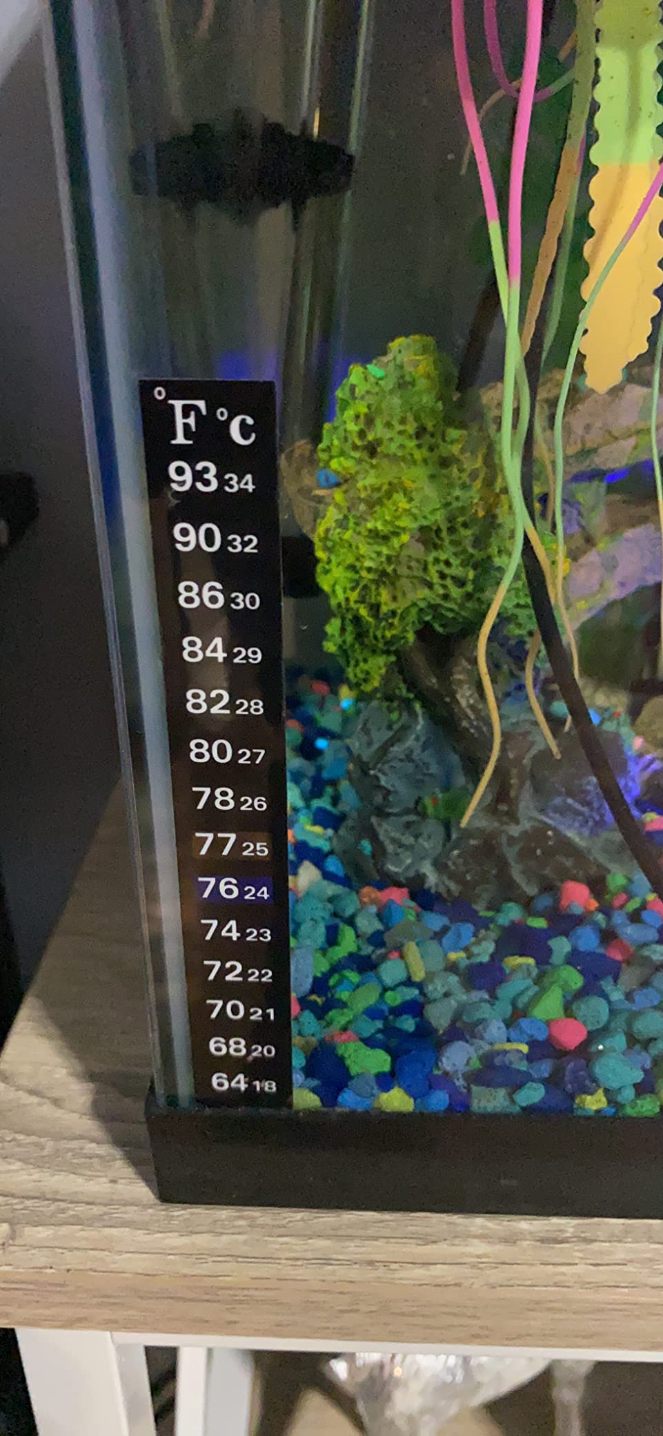 HITOP Compact Submersible Aquarium Heater 100W Digital Heater for Fish Tank Turtle Tank with Temperature Controller customer photo 2