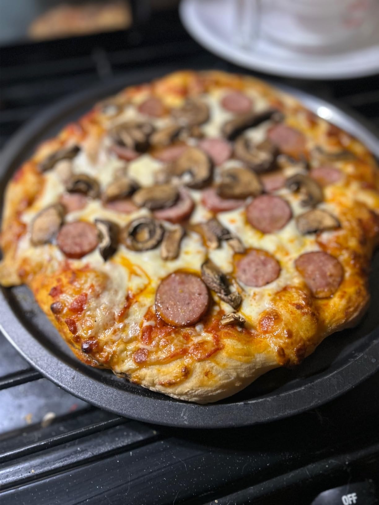 EDOSTORY Outdoor Pizza Oven, Wood Fired for Outside, Patio Maker With Stone, Peel, Grill Rack, and Waterproof Cover for Backyard Camping customer photo 1