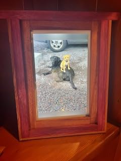 Skylight Digital Picture Frame: 15 Inch WiFi Enabled with Load from Phone Capability, Touch Screen Digital Photo Frame Display - Customizable Gift for Friends and Family - Black customer photo 1