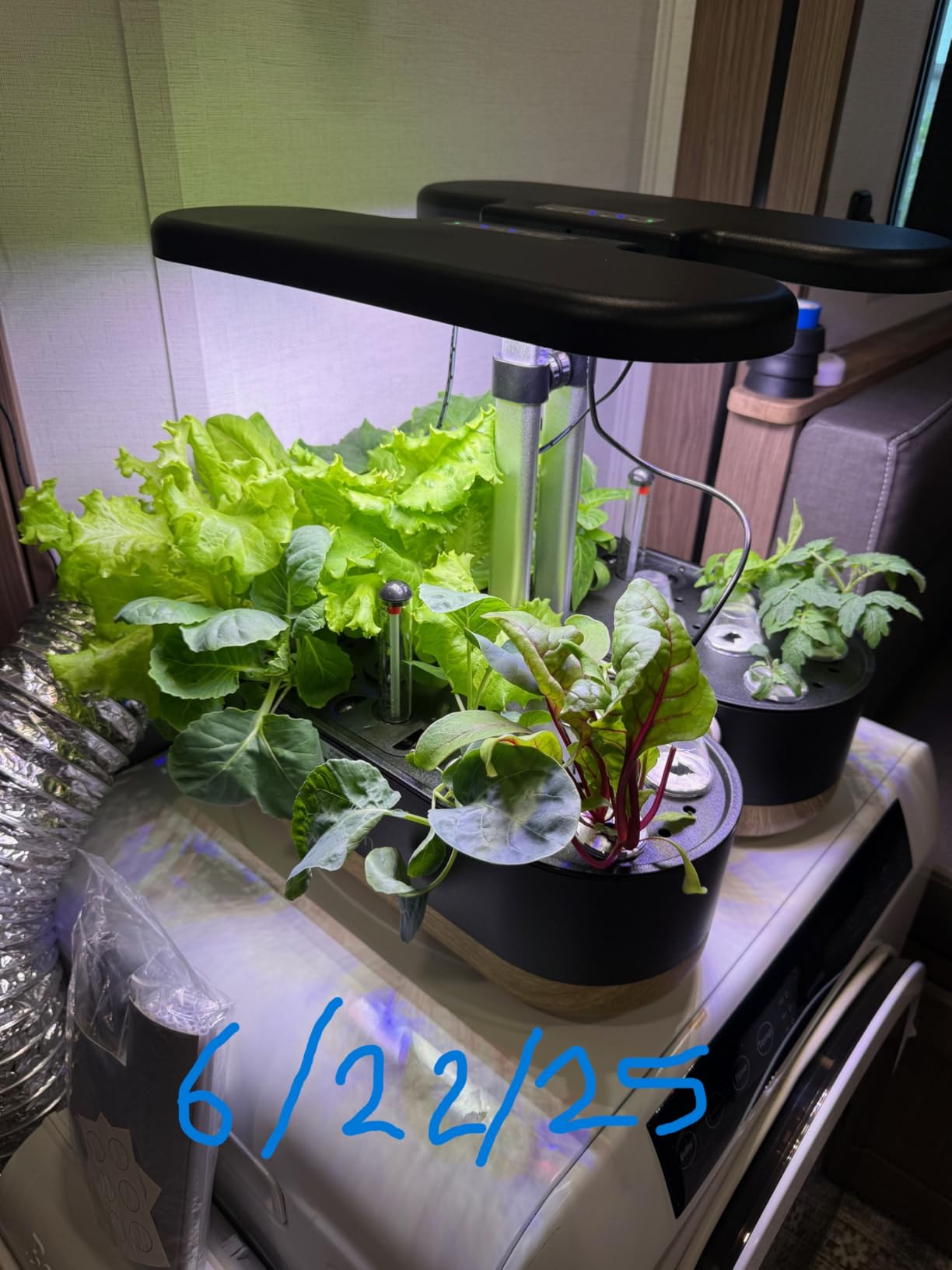 inbloom Hydroponics Growing System 12 Pods, Indoor Herb Garden with LEDs Full-Spectrum Plant Grow Light, Water Shortage Alarm, Automatic Timer, Height Adjustable,Gardening Gifts for Women, White customer photo 1