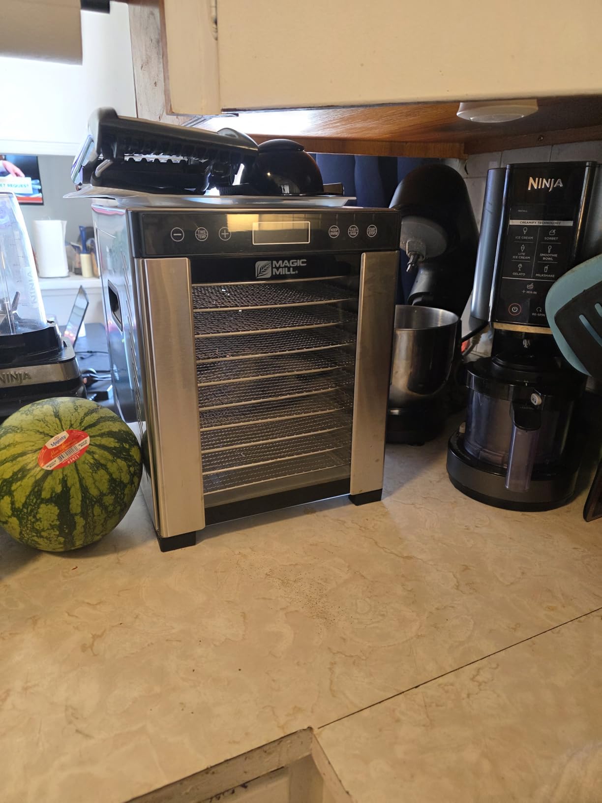 Magic Mill Pro Food Dehydrator Machine | Powerful 600W Rear Fan Even-Drying System | 7 Full-Size Stainless Steel Trays | 95°-176° Temperature Control, 48H Timer customer photo 2