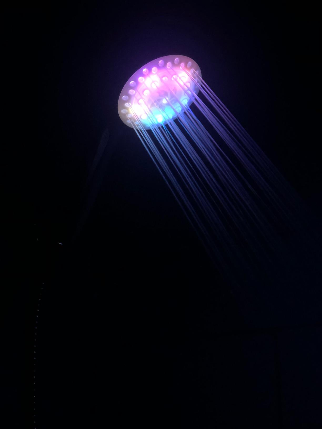 Black Shower Head Filtered Led Showerhead 7 Color Light Change Automatically Filter Filtration Handheld for Dry Skin & Hair customer photo 1